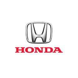 Disponemos de las marcas del mercado